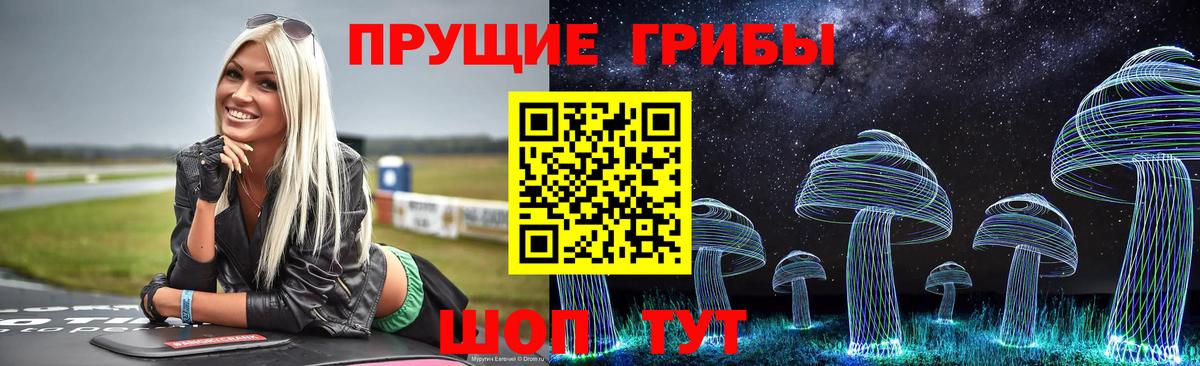купить наркоту  Псилоцибиновые грибы GOLDEN TEACHER  Вход с VPN  Каменка 